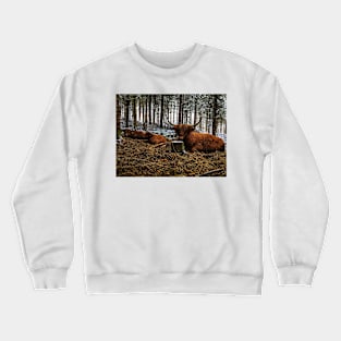 Scottish Highland Cattle Cow and Calves 1596 Crewneck Sweatshirt